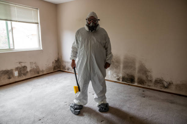 Mold Removal for HVAC Installations in Mayfield, OH